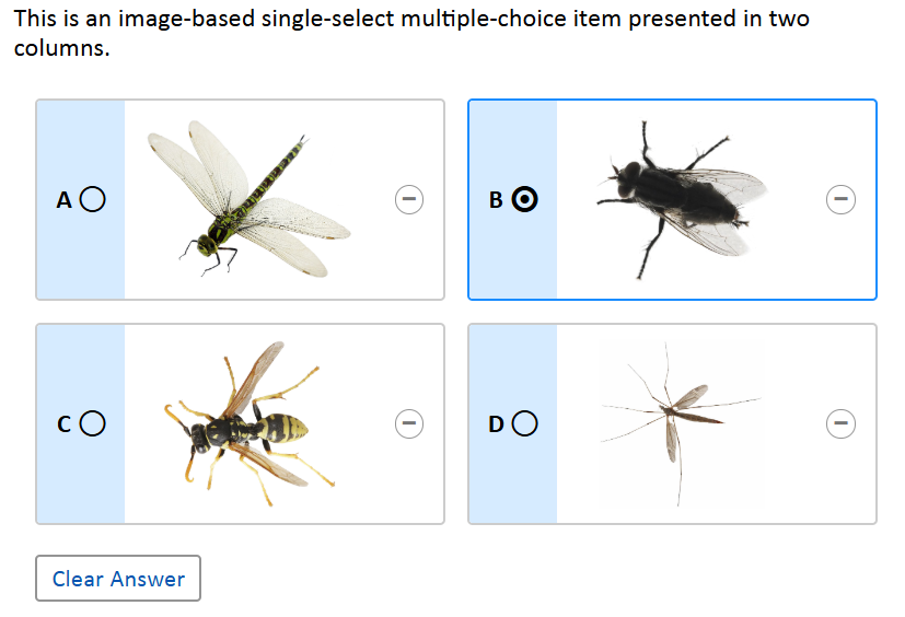 Single Select Multiple choice item example with images of insects as answer choices.